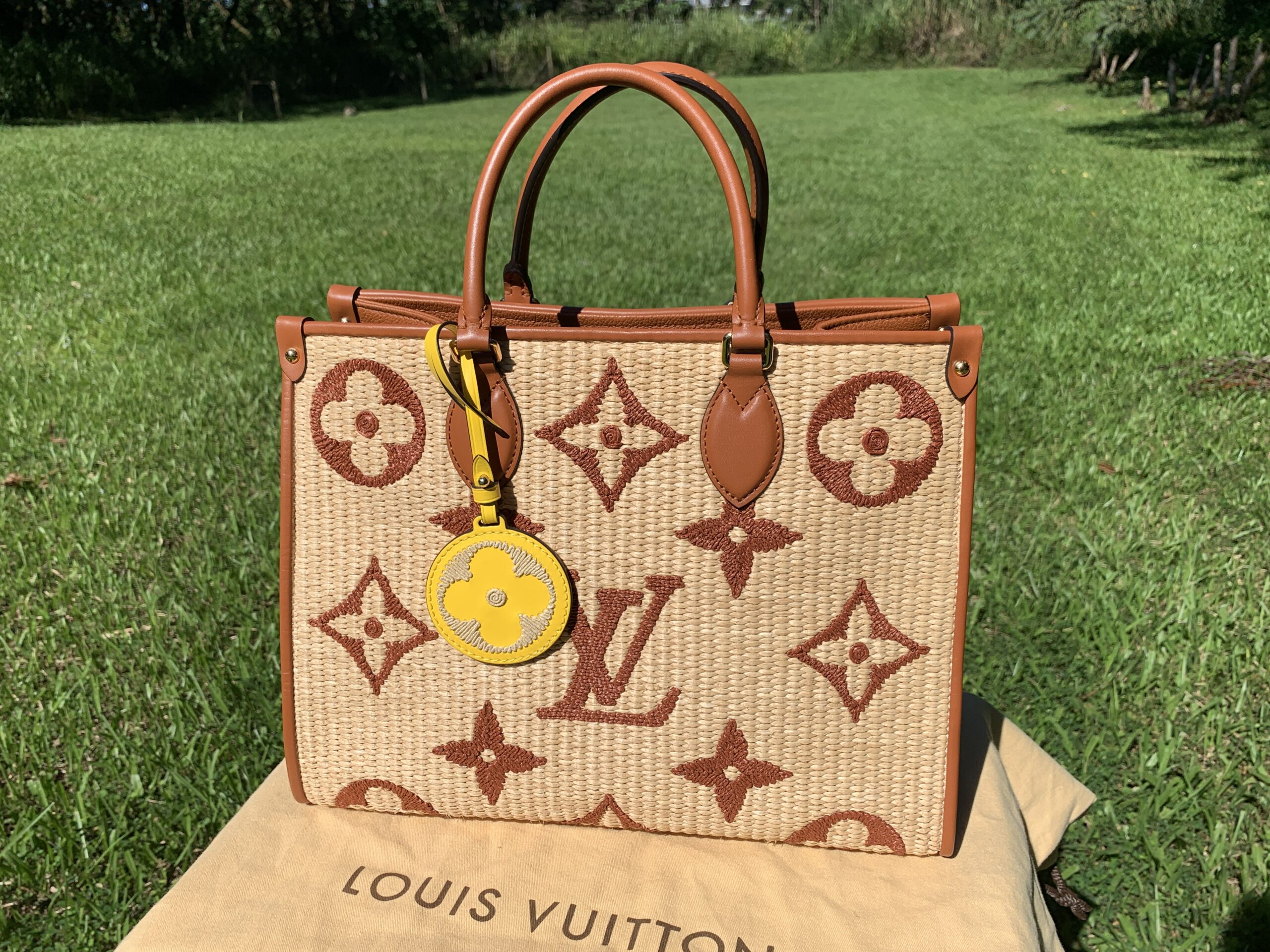 Louis Vuitton, Bags, Louis Vuitton Monogram On The Go Brown Raffia Tote W  Tags