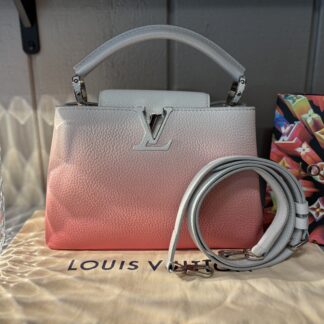 Louis Vuitton Pink Ombre Taurillon Leather Capucines PM