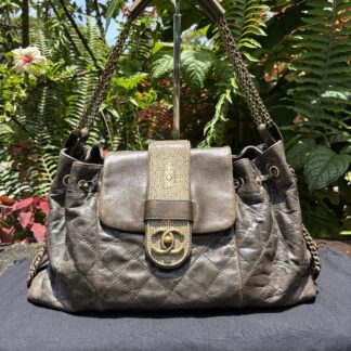 Chanel Jumbo Stingray Brown Accordion Bag