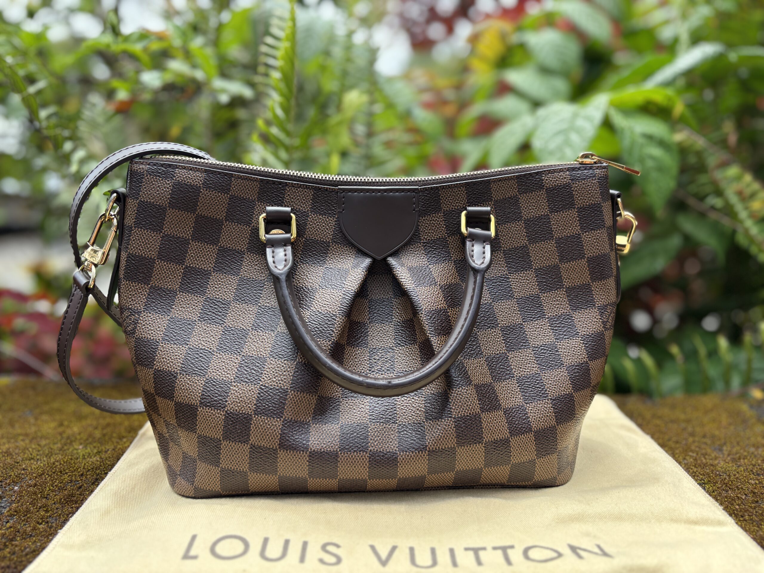 Louis Vuitton Damier Ebene Siena PM Crossbody - Image 4