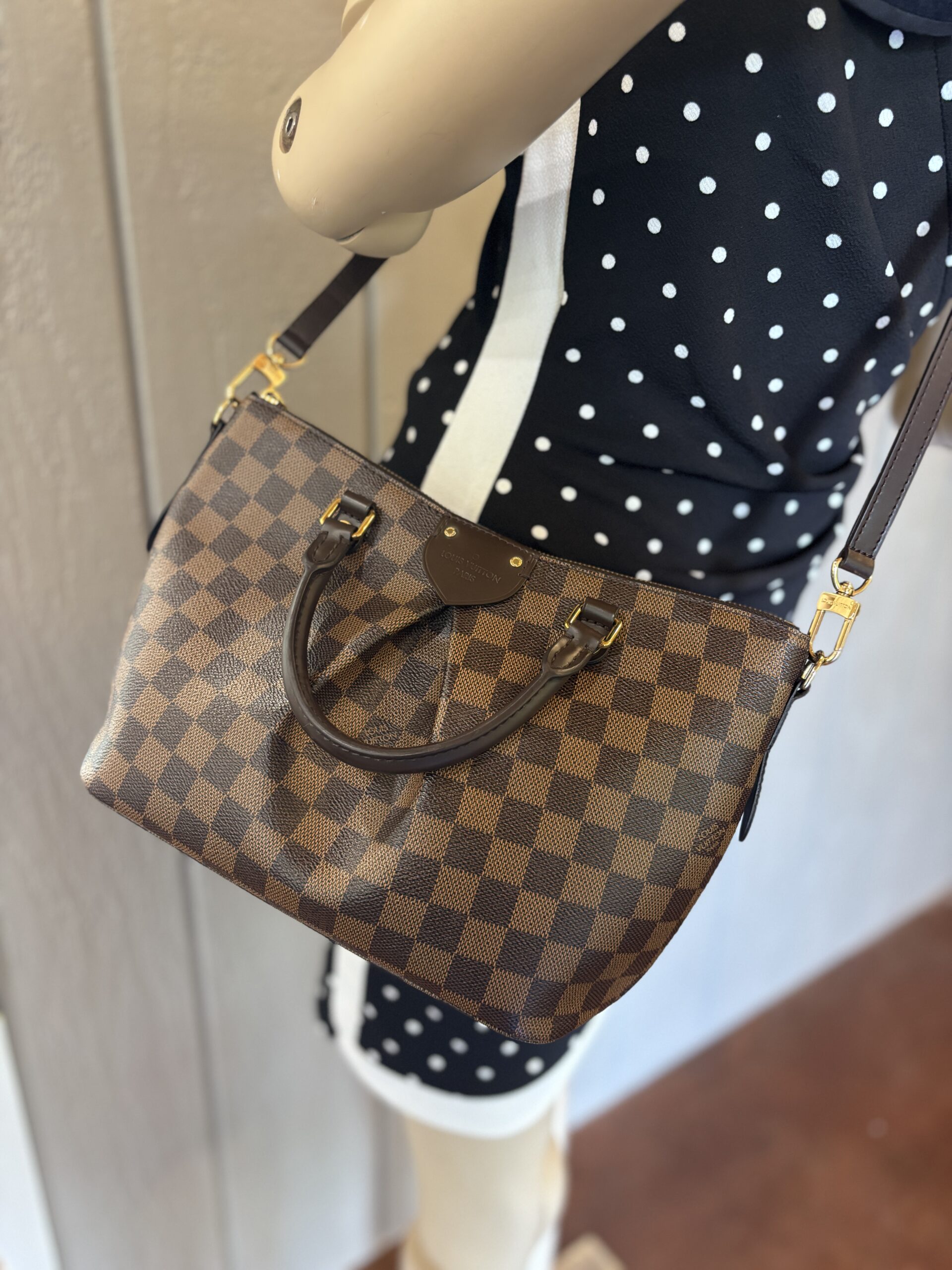 Louis Vuitton Damier Ebene Siena PM Crossbody - Image 22
