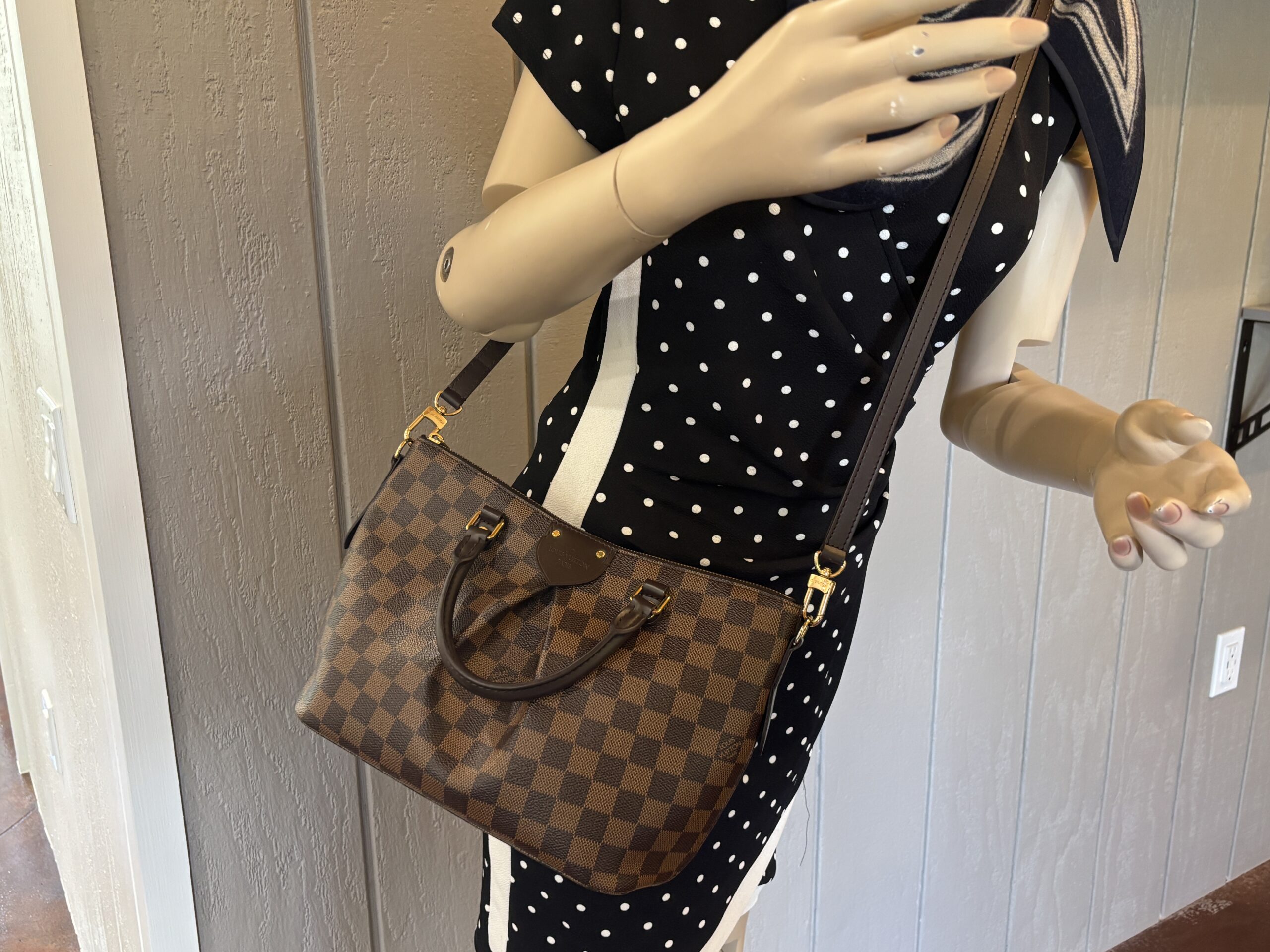 Louis Vuitton Damier Ebene Siena PM Crossbody - Image 23