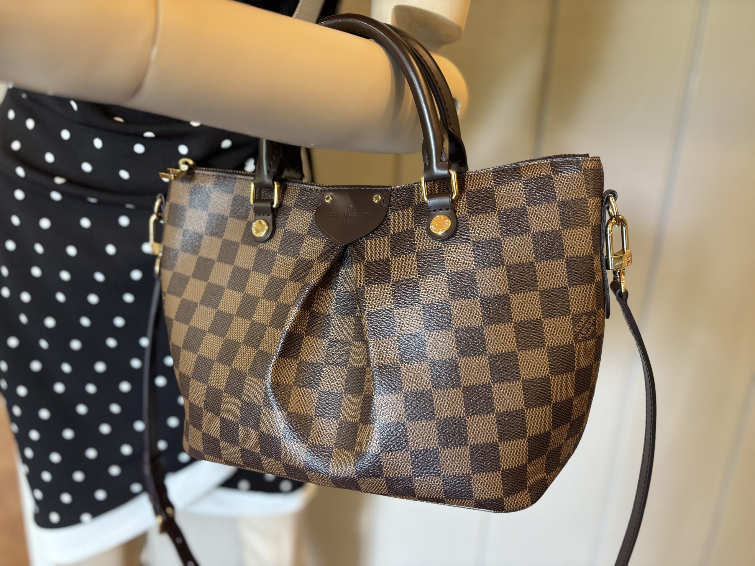 Louis Vuitton Damier Ebene Siena PM Crossbody - Image 24