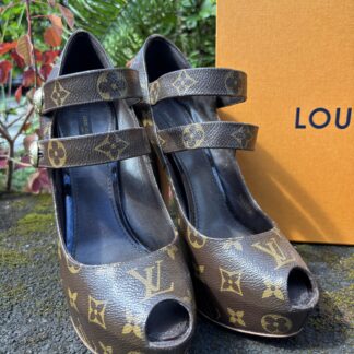 Louis Vuitton Monogram Pumps