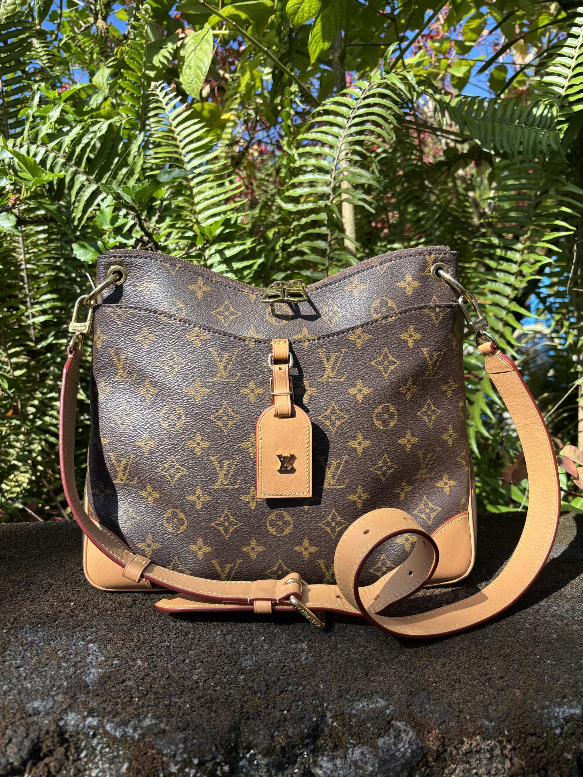 Louis Vuitton Monogram Odeon MM Crossbody