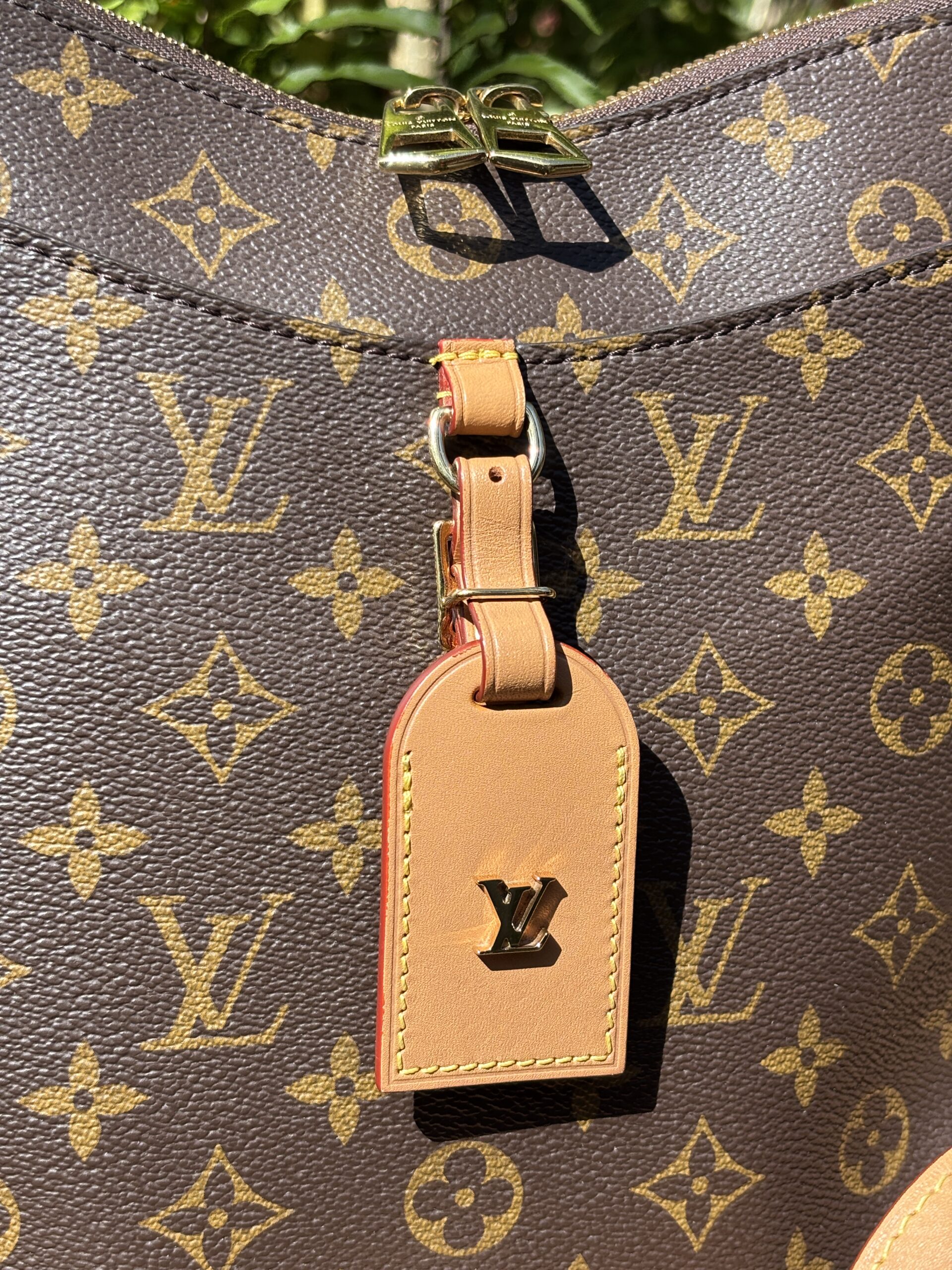 Louis Vuitton Monogram Odeon MM Crossbody - Image 2