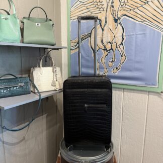 Custom Pre-Order Horizon Suitcase