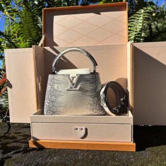 Louis Vuitton Ombré Exotic Lizard Leather Capucines BB