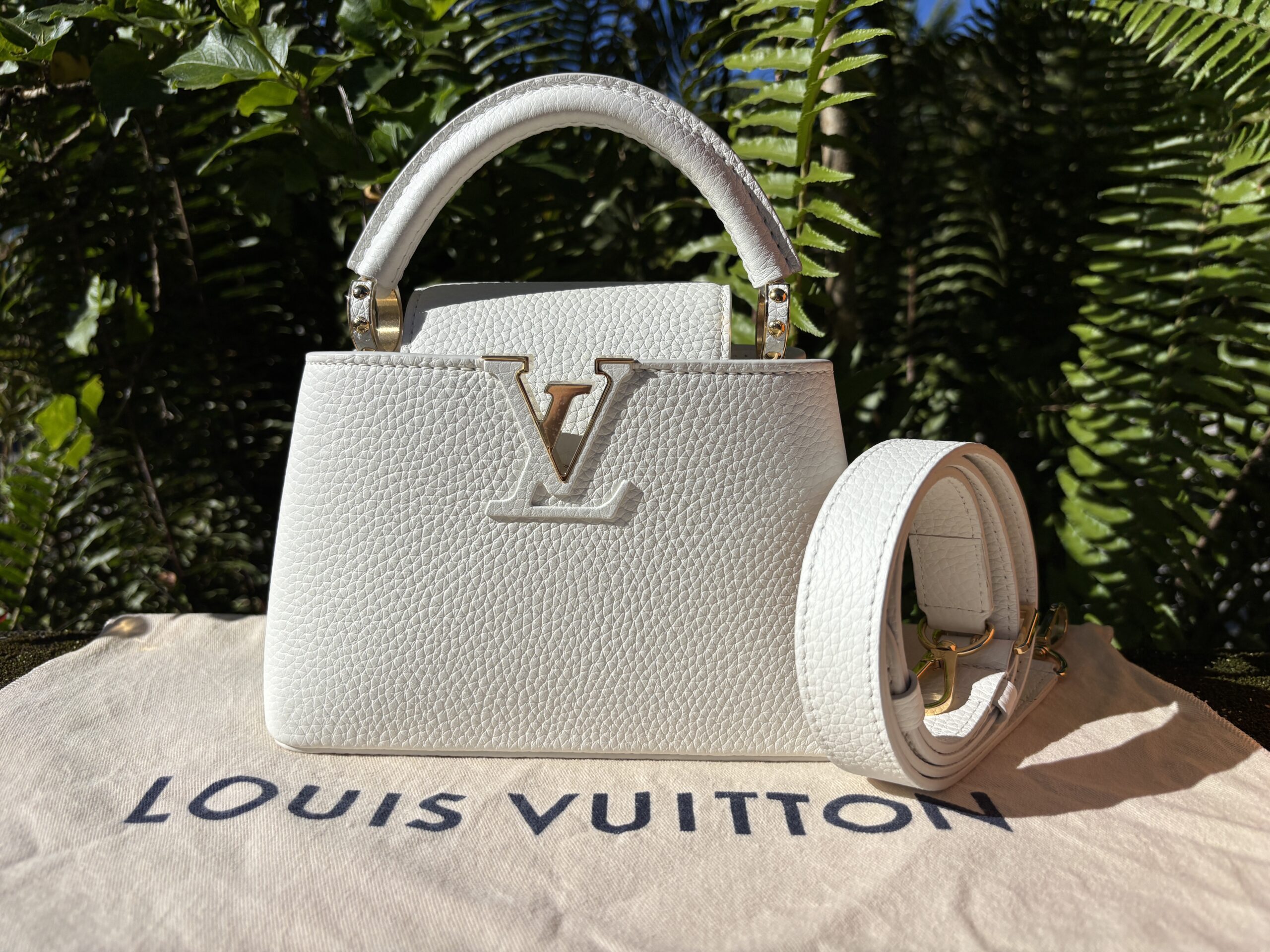 Louis Vuitton White Leather Capucines BB